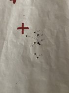 IMG_2937.jpeg