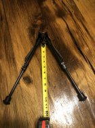 IMG_8637.jpeg