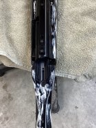 IMG_0231.jpeg