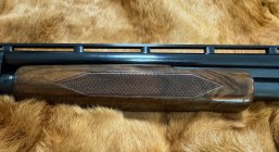 IMG_8309.jpeg