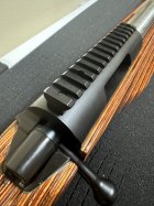 IMG_2305.jpeg