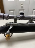 IMG_4380.jpeg