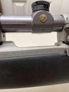 IMG_4383.jpeg