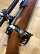 IMG_8085.jpeg