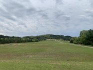 IMG_6481.jpeg