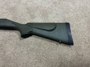 IMG_8424.jpeg