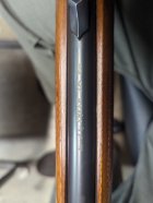 53913106678_6c2d27d0ae_k (1).jpg