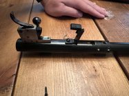 IMG_5916.jpeg