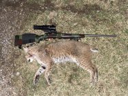 IMG_1433.jpeg