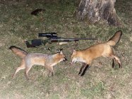 IMG_0783.jpeg