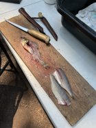 IMG_0638.jpeg
