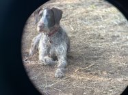 IMG_0649.jpeg