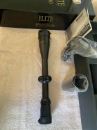 IMG_2029.jpeg