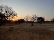IMG_1224.jpeg