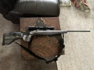 IMG_1976.jpeg