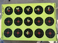 IMG_7587.jpeg
