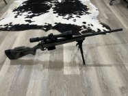 IMG_1937.jpeg