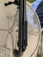 IMG_1624.jpeg
