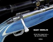 Baby Merlin at Testing II.jpg