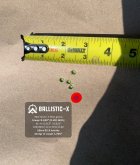Ballistic-X-Export-2023-09-06 10:29:59.582560.jpg