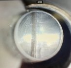 IMG_6951.jpeg