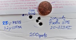 Tikka 20-223AI target -H335.jpg