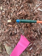 IMG_2755.jpeg