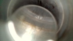 IPC_2024-08-28.20.35.02.7870.jpg