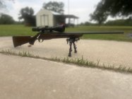 IMG_0737.jpeg