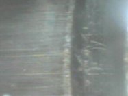 PICT0001.JPG