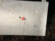 IMG_3812.jpeg