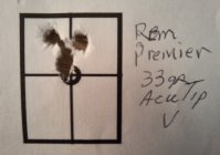 Anschutz 22 Mag with Rem Premeir 33gr Acutip.jpg