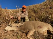 Deer 711.jpg