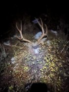 Deer 674 Yrds.jpg