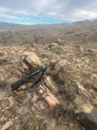 Elk 654 yds.jpg