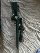 IMG_3730.jpeg