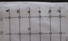 YPD5NlG (2).jpeg