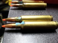 IMG_20240905_125051.jpg