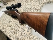 IMG_6218.jpeg
