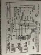 IMG_7180.jpeg