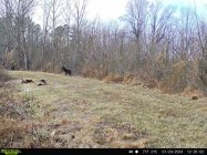 IMG_6699.jpeg
