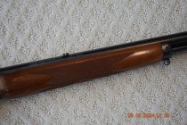 DSC_1248.JPG