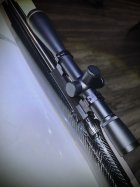 IMG_3157.jpeg