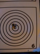 IMG_20240727_201740704_MP.jpg