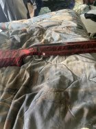 IMG_1065.jpeg