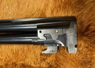 IMG_8831.jpeg