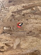 IMG_5943.jpeg