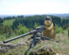 Gunhog.jpg
