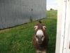Picture 015.jpg