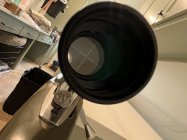 IMG_2042.jpeg